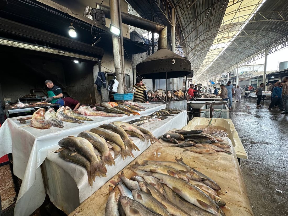 صور: أسماك المحافظات لم تصل الى سوق الميدان في الموصل.. والسعر ارتفع قليلاً
