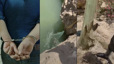 ڤیدیۆى راوکردنەکەى لە فەیسبوک بڵاوکردەوە و پۆلیس دەستگیرى کرد
