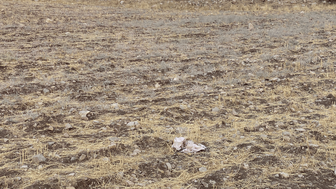 ئەمڕۆ هەقە پەڵەیە؛ بەڵام هێشتا باران نەباریوە