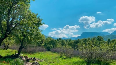 “أسرار بارزان”.. صيد الحيوانات حرام وقطع الأشجار عارٌ بتوصية من الأجداد (فيديو)