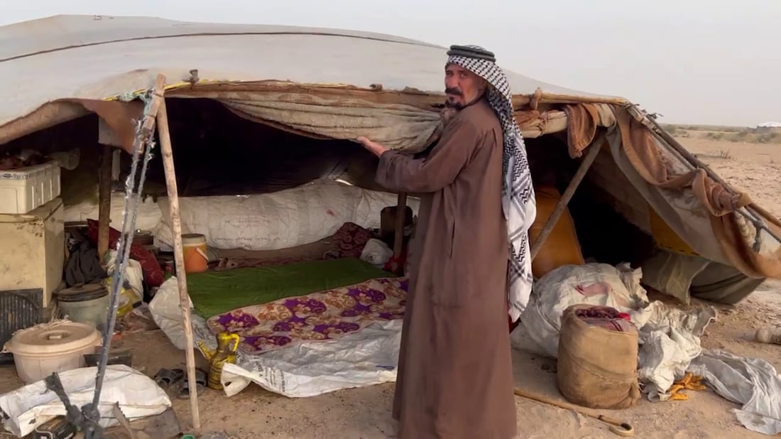 فيديو: بدو السوالم عادوا بالإبل إلى مراعي البصرة.. رحلة الشتاء انتهت