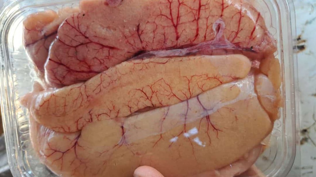 الأكالة يبحثون عن بيوض السمك في نقعة الفاو.. علبة “الثروب” بـ10 آلاف (صور)