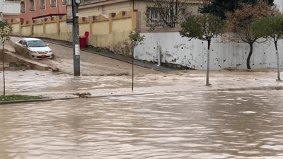 لافاو زیانی زیاتر لە 100 ملیۆن دیناری بە کارەبای ئامێدی گەیاندووە