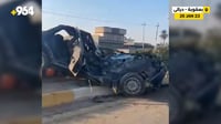 فيديو: صعد الرصيف واقتلع الشجرة.. مصرع سائق 