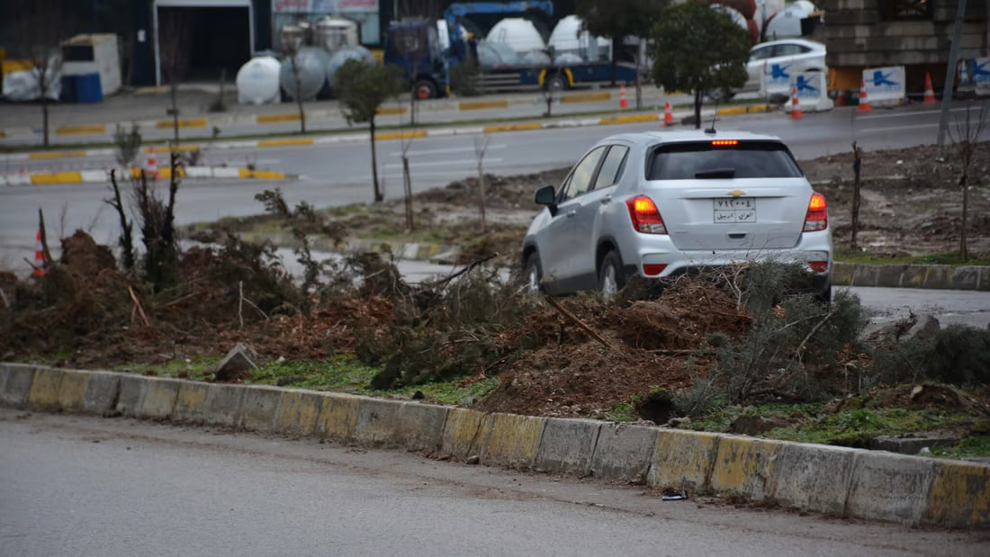 بيئة أربيل غاضبة.. شركة نفذت مجزرة بحق 50 شجرة بعضها بعمر 20 عاماً