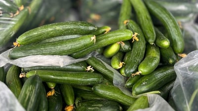 کولەکە و خەیاری خۆمانە پێگەیشتووە و نرخی هەرزان بوو