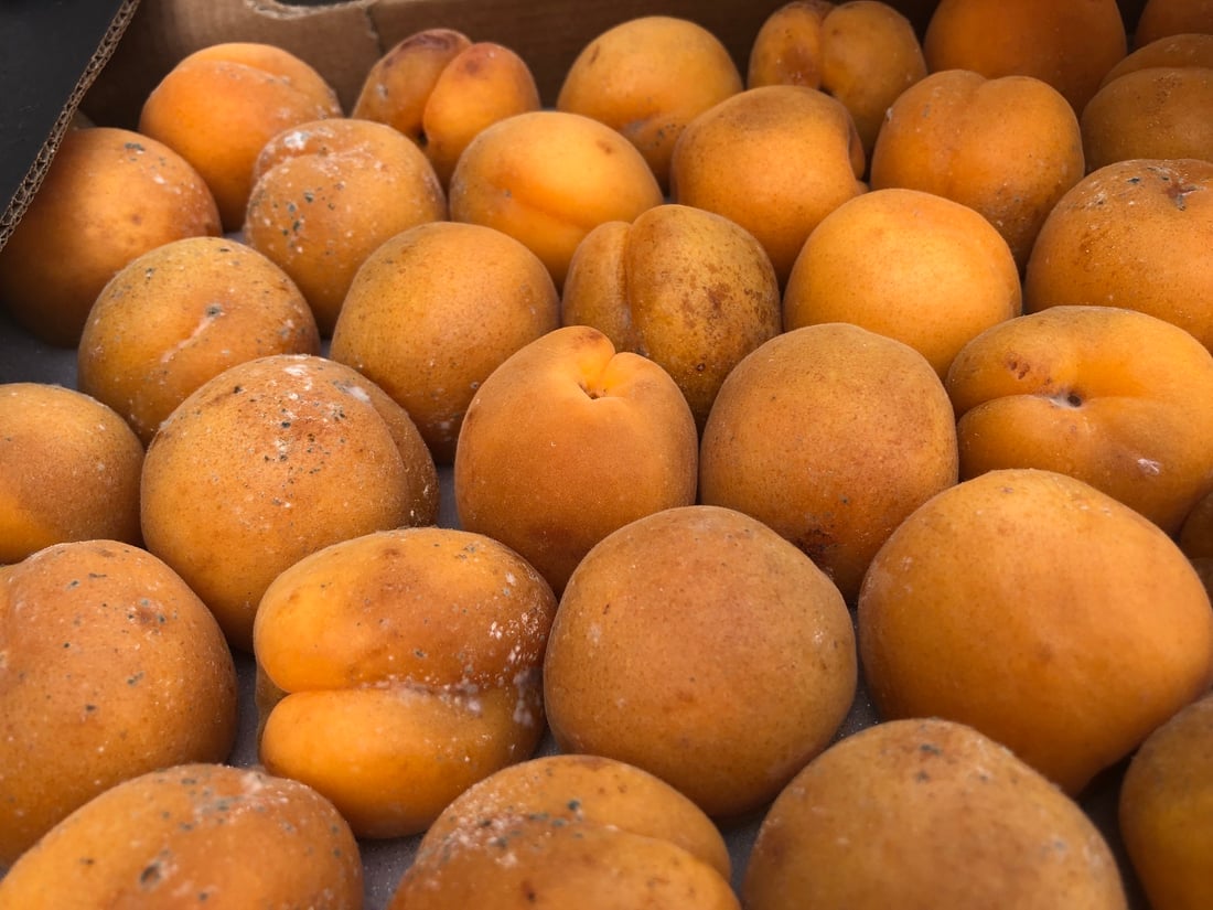 دوو تۆن و 700 کیلۆ پەتاتە و مۆز و قەیسی دەستیان بەسەرداگیرا