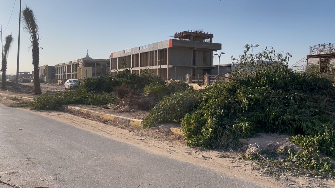 Outcry in Najaf over removal of more than 200 trees on Green Belt Road