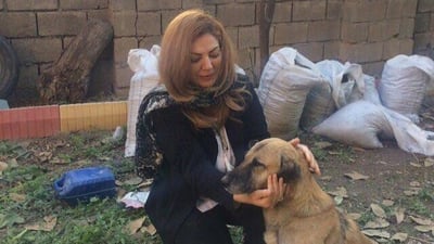 ” بێچووی ئەسپیان بە پیكاب لە سكی دایكی راكێشاوە”