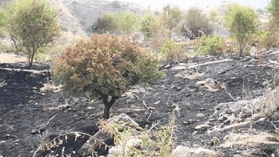 گوندەکانی ئامێدی قەرەبوو دەکرێنەوە