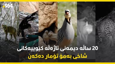 نزیکەی 200 جۆر باڵندە و 16 جۆر شیردەر لە شاخی بەمۆ تۆمارکراون