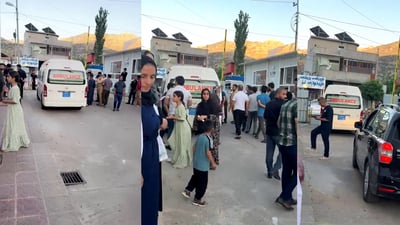 تراکتۆر جوتیارێکی هەنجن هەنجن کرد
