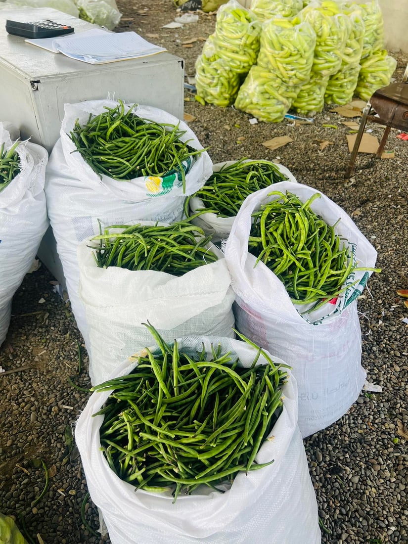 تەق تەق؛ خۆی وەک نیشتمانیی لۆبیا دەردەخات