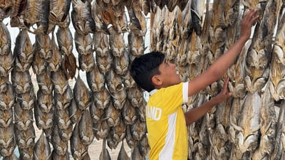 البصرة: مشاهد مدهشة تربك السفن والنساء.. بدأ تجفيف السمك و”عيد المسموطة”