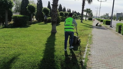 ئەو پڕۆژانەى رووبەرى سەوزاییان نییە دەبێت لە شوێنێکى دیکە دار بڕوێنن