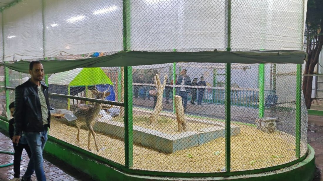 كانت عطلة ناجحة.. مدن الألعاب في زيونة والشعب ستكرر تجربة الدخول المجاني (صور)