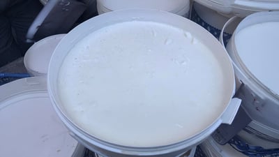 Authorities seize over 300 kg of expired yogurt in Sulaymaniyah