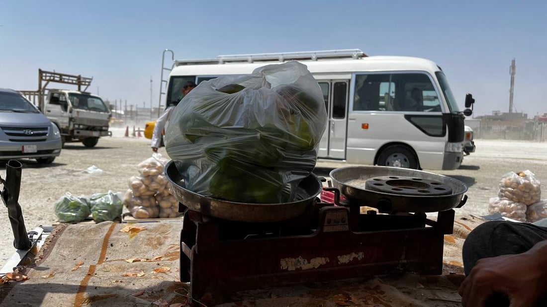 صور: خضروات البصرة في تموز “Take Away” والسوق فجراً أو بعد العصر