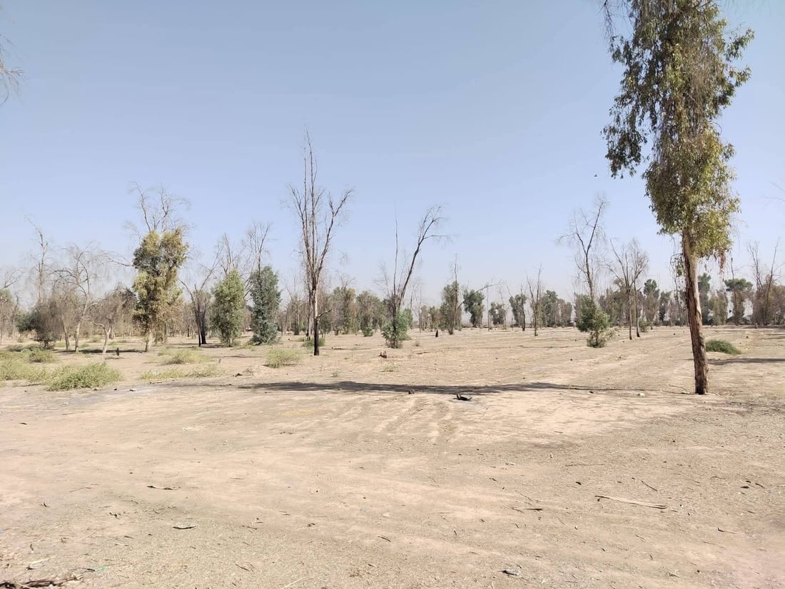سیستمی ئاودان بۆ دارستانی قەزای خەبات دادەنرێت
