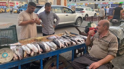 صور: كيلو السمك يقفز إلى 10 آلاف بعد ردم مفاجئ لبحيرات خانقين