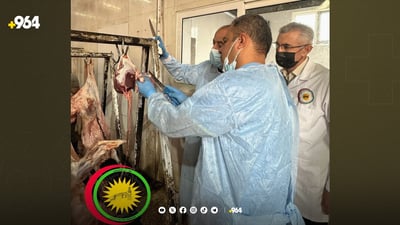 تەندروستیی هەولێر: لە مەیدانی فرۆشتن دەستمان بەسەر ئاژەڵی سەربڕاودا گرت