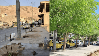 نەمامەکانی بوون بە دار و شۆستە و شەقامەکانی دەربەندیخانیان ئاوەدان کردەوە