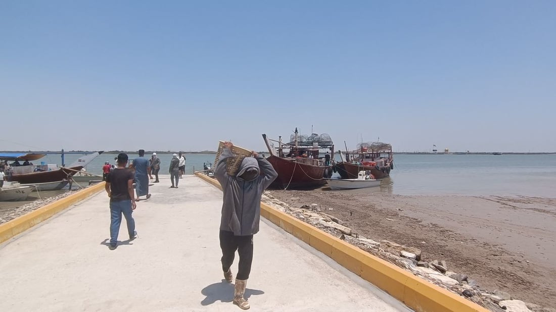 صيف الفاو يملأ قوارب الصيادين بالهامور والزبيدي على حساب الصبور.. قائمة من البحر