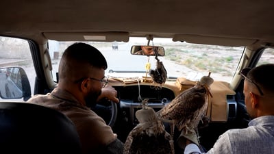 فيديو: صقور العراق شرسة أمام “صگارة” الخليج والحفلة على حدود إيران