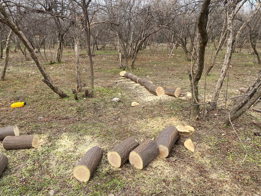 ژینگه‌ى هه‌ڵه‌بجه‌ رێكارى یاسایی به‌رامبه‌ر دوو سه‌رپێچیكار ده‌گرێته‌ به‌ر