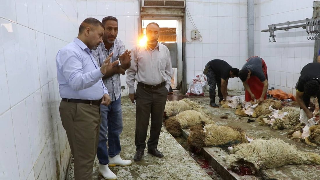 “الذباح طفل والبيطري نائم”.. برلماني يقتحم مجزرة كربلاء النموذجية ويخرج مندهشاً (صور)