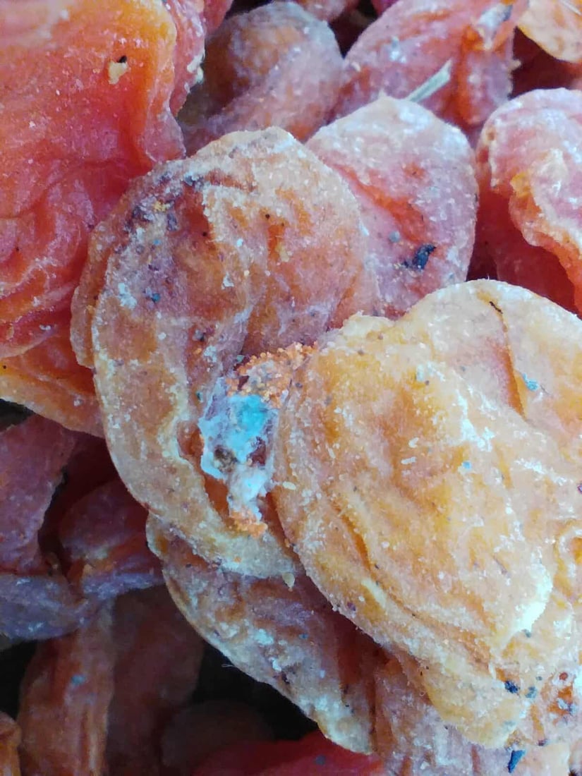 تۆنێک قەیسی وشککراوی کرم لێدراو و 150 کیلۆ ماسی خراپبوو دەستیان بەسەرداگیرا