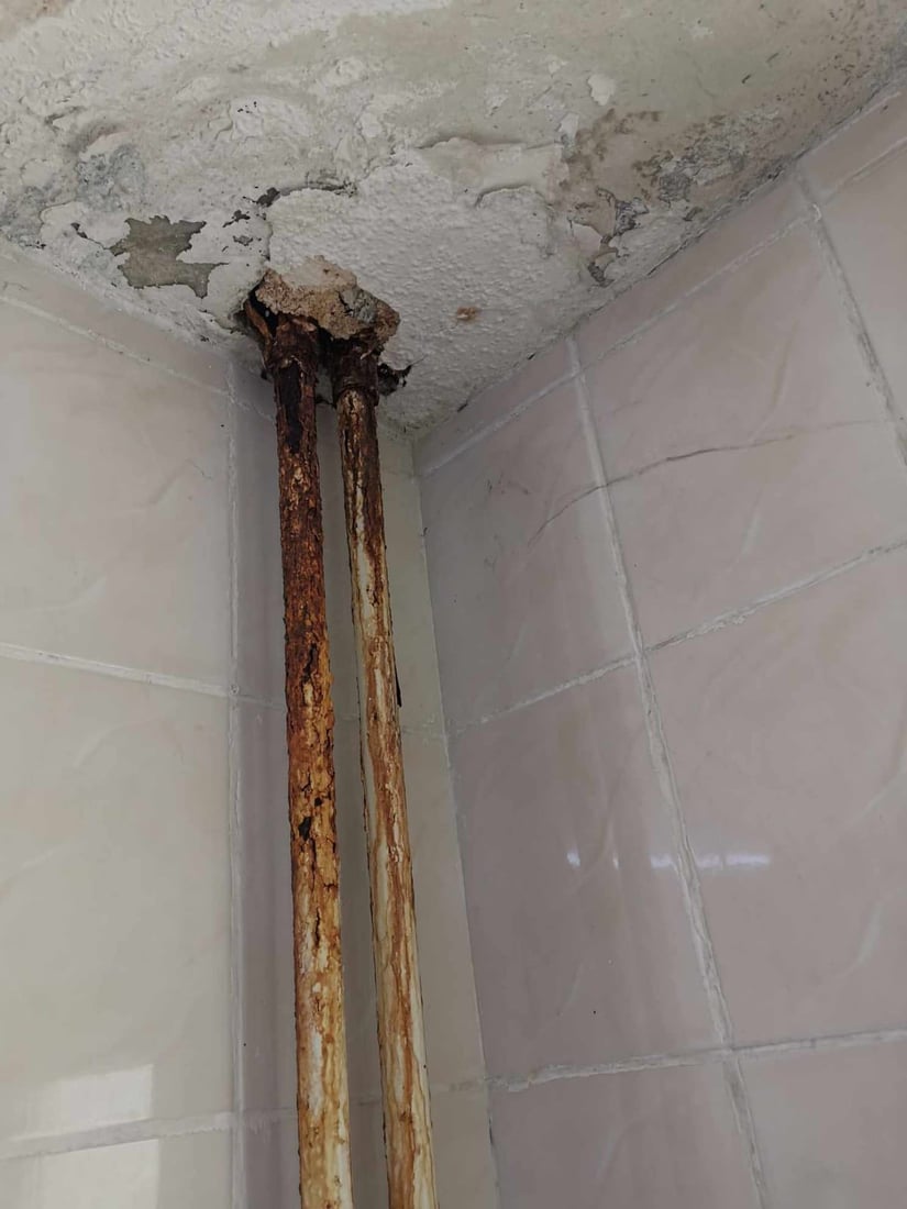 بەشەناوخۆییەکانی زانکۆ و پەیمانگای هەڵەبجە مەرجی تەندروستیان تێدا نییە