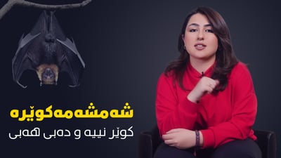 شەمشەمە کوێرە بەڵایە یان سوودی هەیە