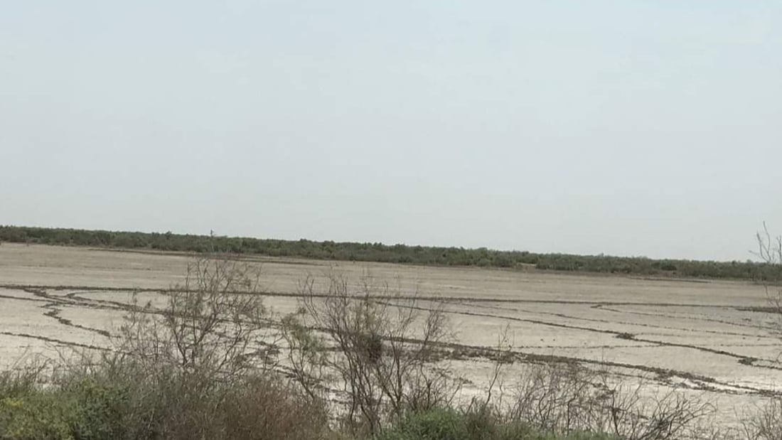 بيئة ميسان تعلن جفاف هور “العودة” وانعدام التنوع الإحيائي فيه