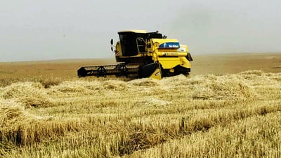  له‌ بنه‌سڵاوه‌ (جۆ) دروێنه‌ كرا و یه‌ك به‌ بیستى هێناوه‌