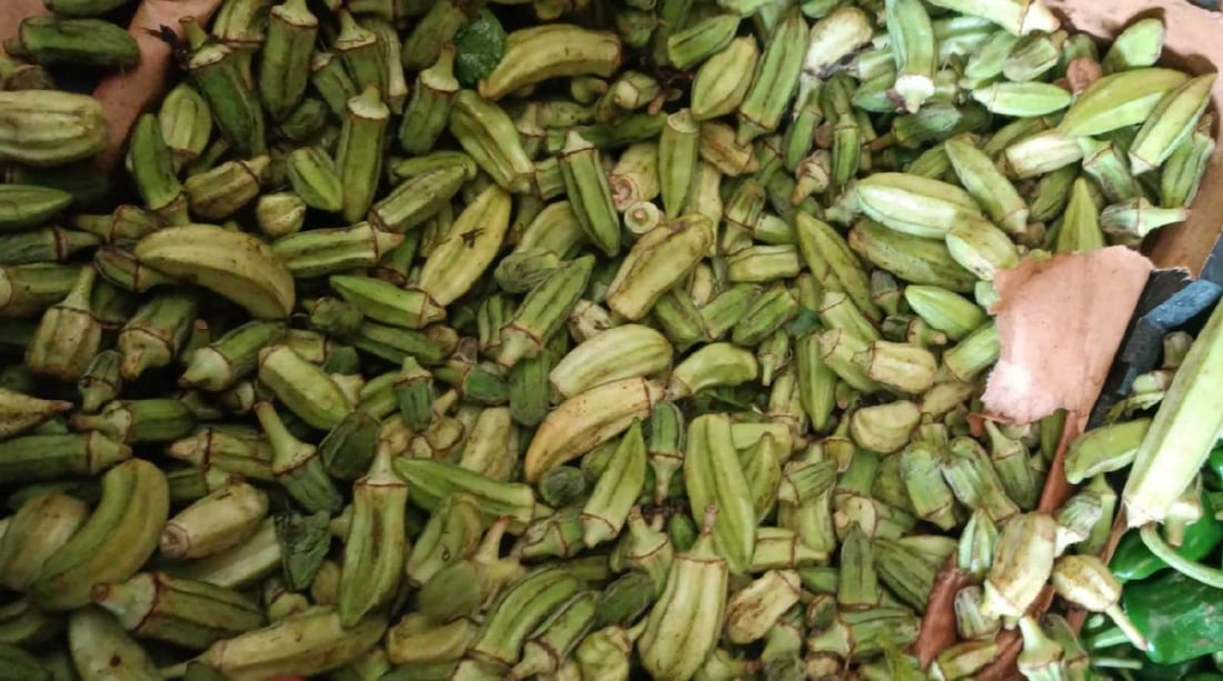 یەک تۆن و نیو بامیەی خراپبوو دەستیبەسەردا گیرا