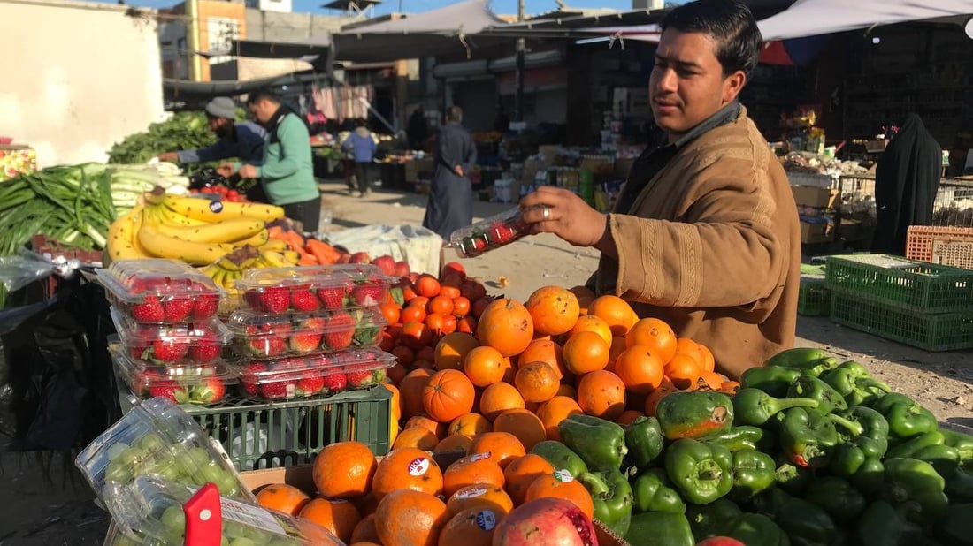 انخفاض كبير في سعر الخضروات.. طماطة الزبير لا تخضع للتعرفة الجمركية (صور)