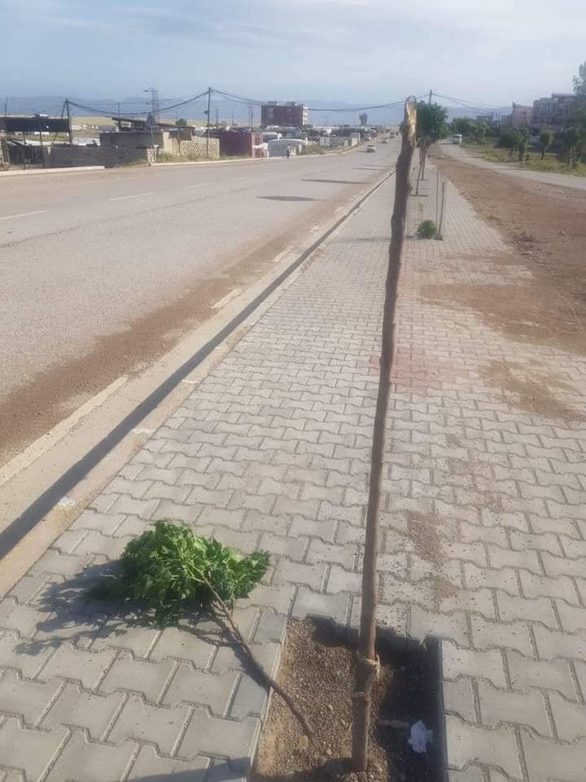 له‌ خانكێ كه‌سێك ده‌ستگیركرا دارى سه‌ر رێگاكانى شكاندبوون