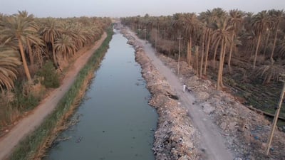 كيف أثر ردم البحيرات على سوق السمك في كربلاء؟ توضيح مقلق من دائرة الزارعة