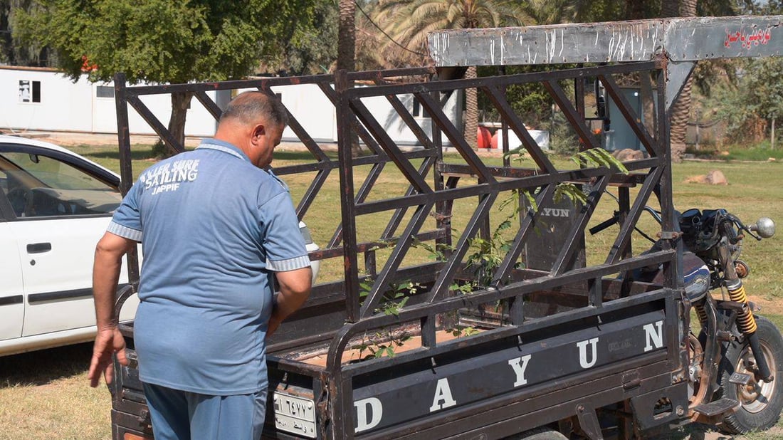 “ببلاش”.. واسط جهزت ربع مليون شجرة ألبيزيا للتوزيع غداً فتوجهوا إلى المشتل