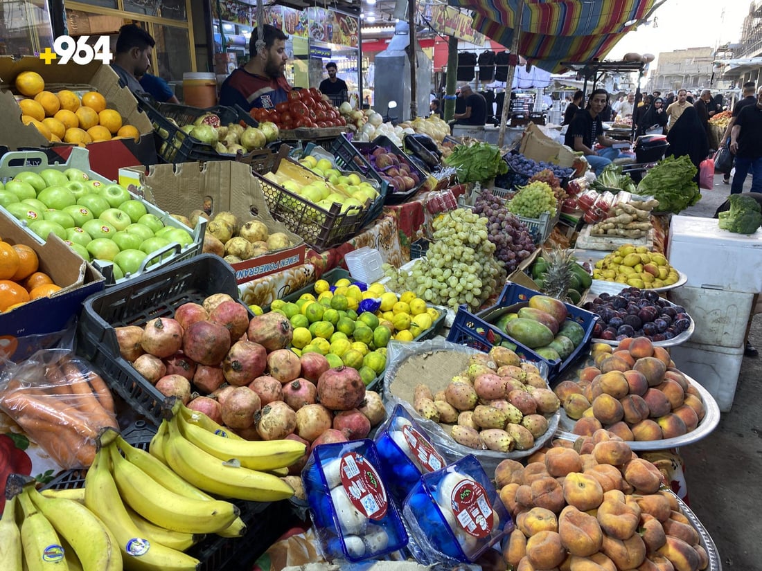 أفضل هدية للحوامل.. السفرجل الكربلائي رخيص وطازج في أسواق الناصرية (صور)