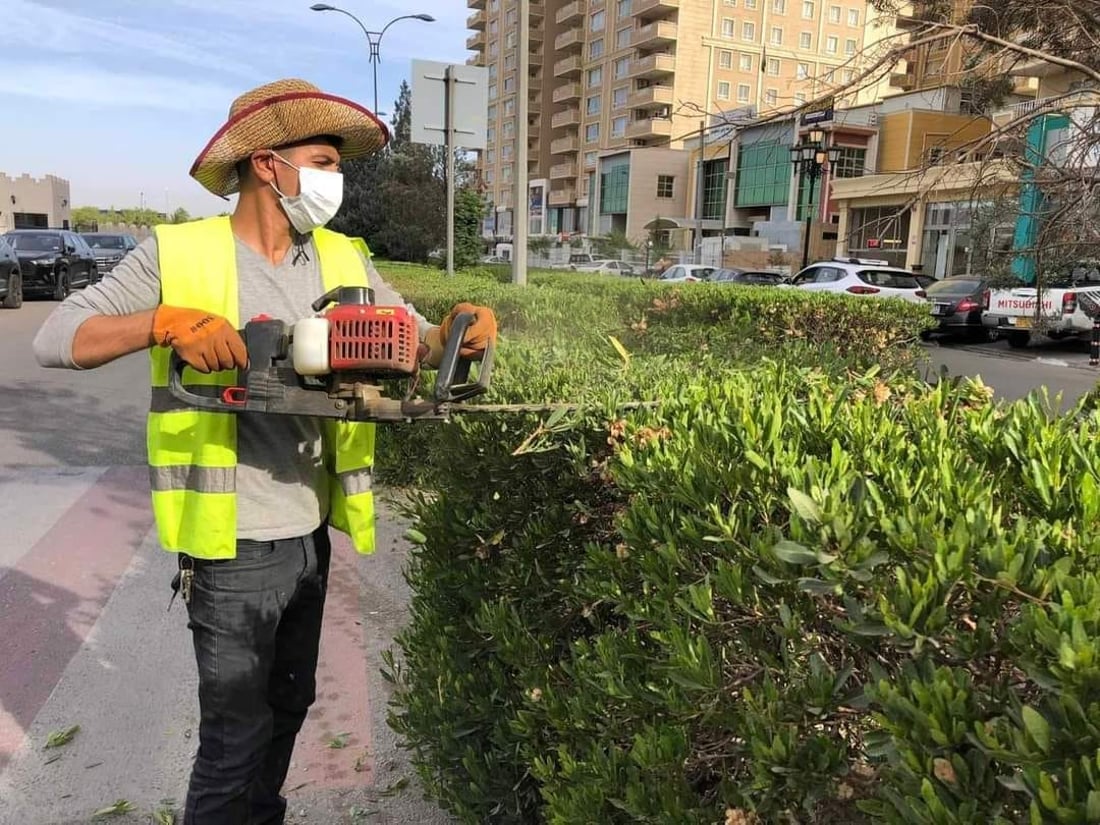 صور: أربيل تضع اللمسات الأخيرة على حملتها الكبرى لتقليم أشجار المدينة