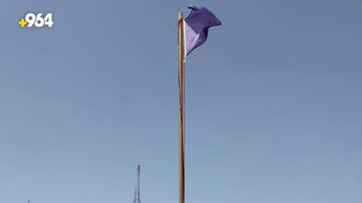 حقل الرميلة يستسلم للشمس ويرفع الراية البنفسجية.. إجازة طارئة للعمال (صورة)