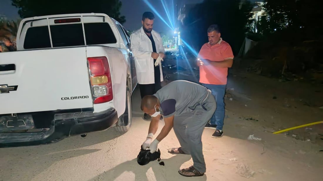 النجف لا ترحم الكلاب السائبة.. استخدمت 1200 طعم سام بحملة المكافحة الكبرى!