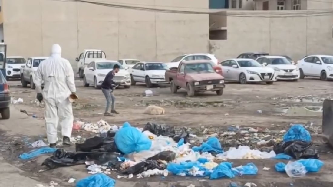 کاری لیژنەکانی گرتنی سەگی بێلانە لە تەواوی کەرکوک تا کاتێکی نادیار راگیرا