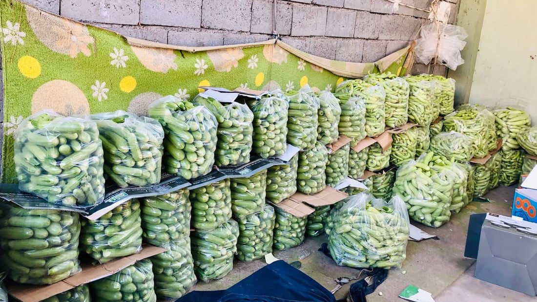 عه‌لوه‌ى ته‌قته‌ق پڕ له‌ به‌رهه‌مى خۆماڵى جوتیاران بووە