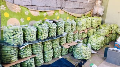 عه‌لوه‌ى ته‌قته‌ق پڕ له‌ به‌رهه‌مى خۆماڵى جوتیاران بووە