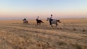 كاميرا 964 مع فرسان شمر على تخوم سوريا.. وكل ما يريدونه مضماراً فقط