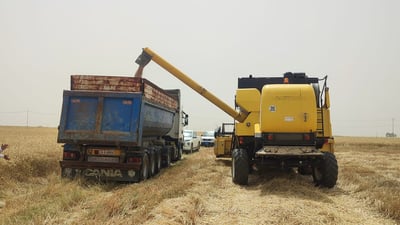 عەربەت و پیرەمەگرون کۆتا رۆژی وەرگرتنی گەنمەکەیانە
