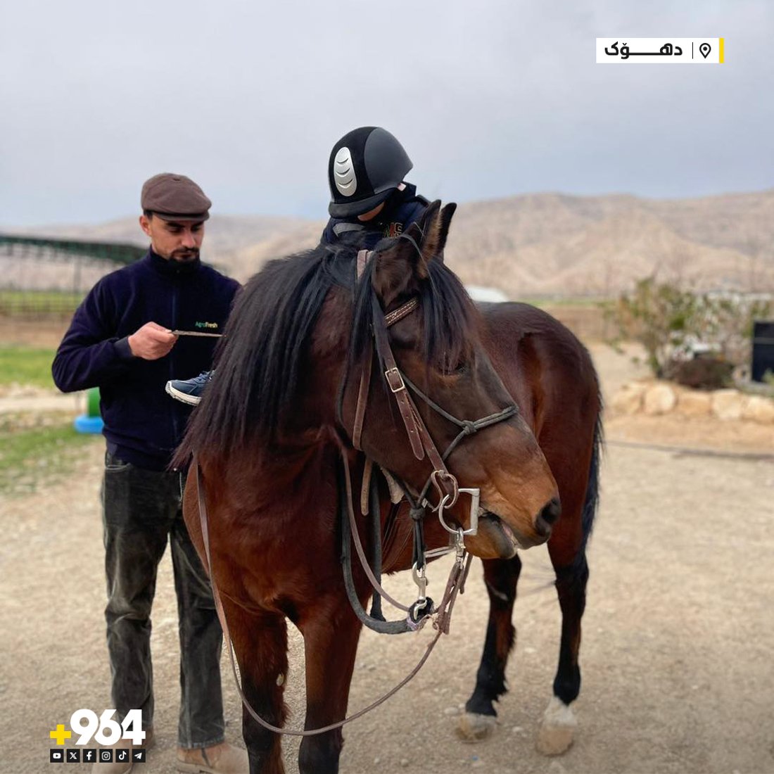 منداڵانی بێسەرپەرشت فێری ئەسپسواری دەکرێن